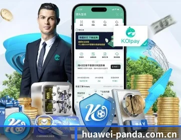huawei-panda.com.cn APP
