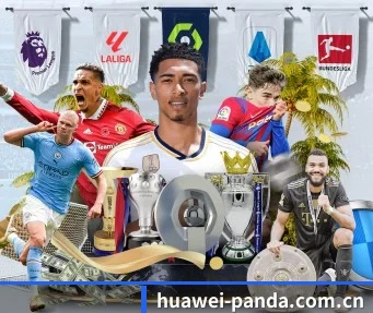 huawei-panda.com.cn APP
